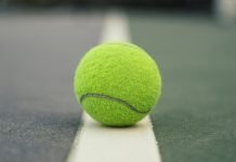 De bedste padel bolde 2024 Padel bold udstyr